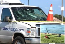 CBS crew attacked by multiple men near Chicago museum, suspects arrested: police CBS crew attacked by multiple men near Chicago museum, suspects arrested: police