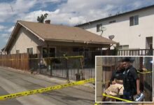 California mom Melissa Lynn Beisel charged with murdering her toddler son and staging death as accidental drowning California mom Melissa Lynn Beisel charged with murdering her toddler son and staging death as accidental drowning