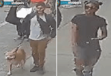 Good Samaritan pepper-sprayed, slashed by violent pair after intervening in NYC ‘dog fight’: cops Good Samaritan pepper-sprayed, slashed by violent pair after intervening in NYC ‘dog fight’: cops