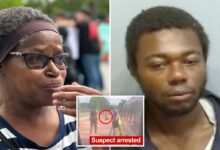 Great-grandmother fatally stabbed on Atlanta MARTA carried a knife — but ‘didn’t have time protect herself’ Great-grandmother fatally stabbed on Atlanta MARTA carried a knife — but ‘didn’t have time protect herself’