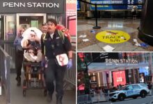 Homeless maniac arrested in bloody Penn Station rampage Homeless maniac arrested in bloody Penn Station rampage