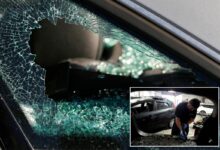 Oakland car break-ins plummet in blow to local glass repair shops Oakland car break-ins plummet in blow to local glass repair shops