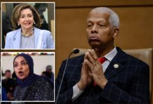 Rep. Hank Johnson welcomes incoming socialists as Pelosi refuses to comment Rep. Hank Johnson welcomes incoming socialists as Pelosi refuses to comment