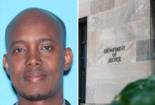 Suspect in 0M Minnesota fraud case arrested hiding out in Somalia Suspect in 0M Minnesota fraud case arrested hiding out in Somalia