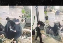 Tom Sandoval Appears to Push Ex-Victoria Lee Robinson’s Dad Into Lit Fire Pit During Fight Tom Sandoval Appears to Push Ex-Victoria Lee Robinson’s Dad Into Lit Fire Pit During Fight