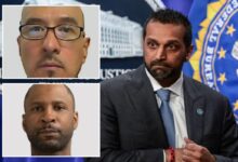 FBI reveals 305 arrests, 24 missing children recovered in Chicago during Operation New Dawn FBI reveals 305 arrests, 24 missing children recovered in Chicago during Operation New Dawn