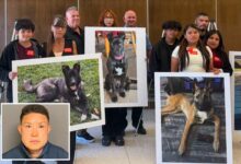 SoCal Dog trainer learns fate for trapping animals in small cages, leaving them to die SoCal Dog trainer learns fate for trapping animals in small cages, leaving them to die