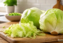 Cyclospora Outbreak Linked to Iceberg Lettuce Reaches Nearly 2,000 Cases : What to Know Cyclospora Outbreak Linked to Iceberg Lettuce Reaches Nearly 2,000 Cases : What to Know
